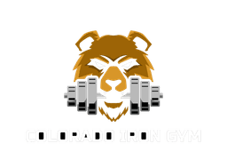 Colorado Iron Gym